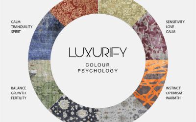The Psychology of Carpet Color For Your Home You Don’t Know About