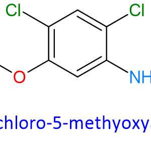 Chemical Structure of 2,4-Dichloro-5-Methyoxyaniline 98446-49-2