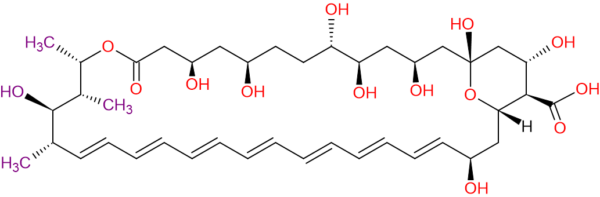 AMPHOTERICIN B AGLYCON IMPURITY